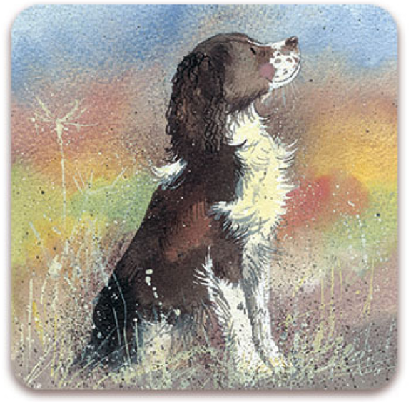 Jerry Dog Coaster